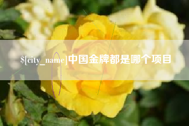 慈溪中国金牌都是哪个项目