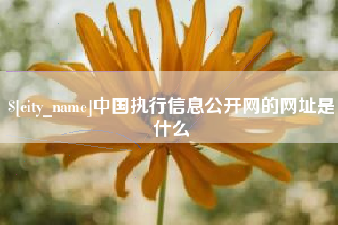 慈溪中国执行信息公开网的网址是什么