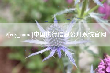 慈溪中国执行信息公开系统官网