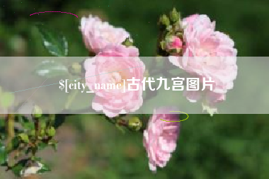 慈溪古代九宫图片