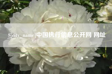 慈溪中国执行信息公开网 网址