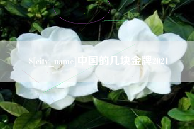 慈溪中国的几块金牌2021
