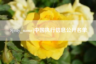 慈溪中国执行信息公开名单