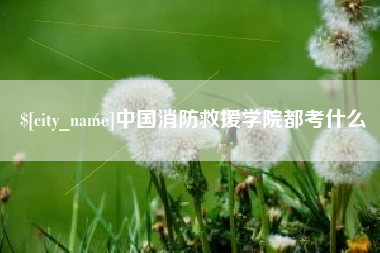慈溪中国消防救援学院都考什么