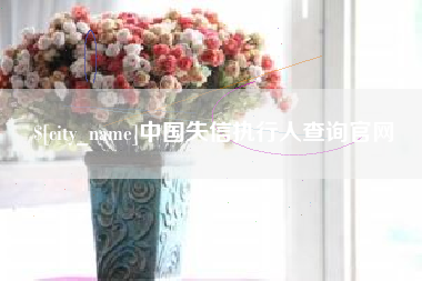 慈溪中国失信执行人查询官网