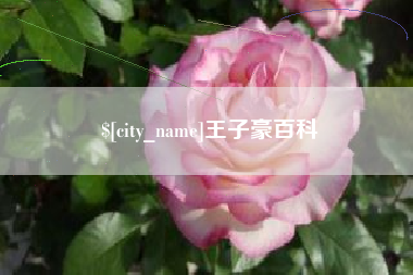 慈溪王子豪百科