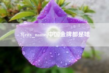 慈溪中国金牌都是啥