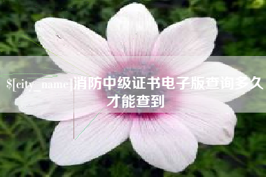 慈溪消防中级证书电子版查询多久才能查到