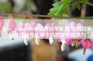 慈溪5000米世界冠军配速-世界冠军们往往能在比赛中巧妙地分配体力
