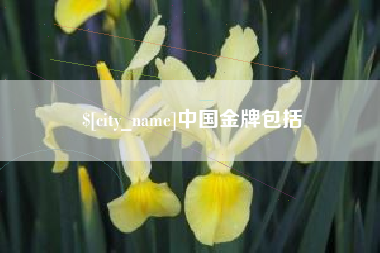 慈溪中国金牌包括