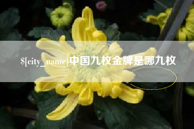 慈溪中国九枚金牌是哪九枚