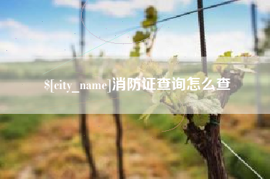 慈溪消防证查询怎么查