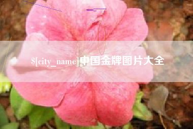 慈溪中国金牌图片大全