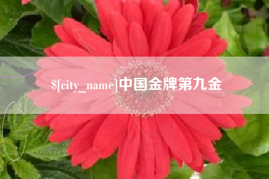 慈溪中国金牌第九金