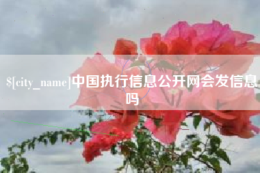慈溪中国执行信息公开网会发信息吗