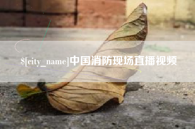 慈溪中国消防现场直播视频
