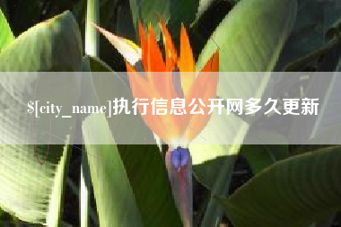 慈溪执行信息公开网多久更新