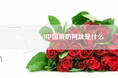 慈溪中国消防网址是什么