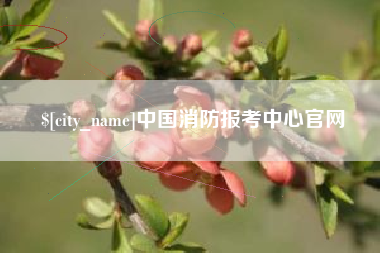 慈溪中国消防报考中心官网