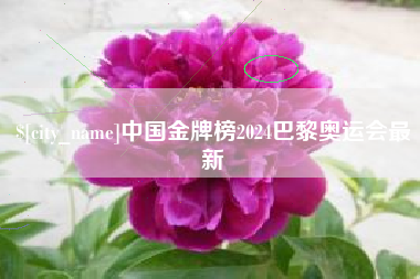 慈溪中国金牌榜2024巴黎奥运会最新