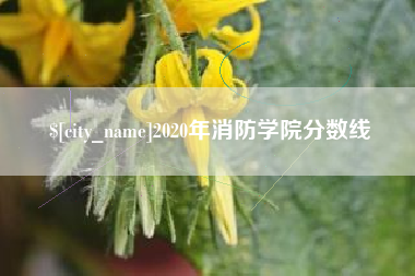 慈溪2020年消防学院分数线