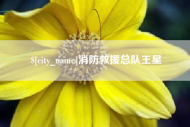 慈溪消防救援总队王星