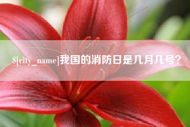 慈溪我国的消防日是几月几号？