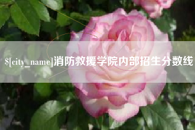 慈溪消防救援学院内部招生分数线