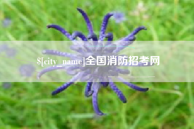 慈溪全国消防招考网