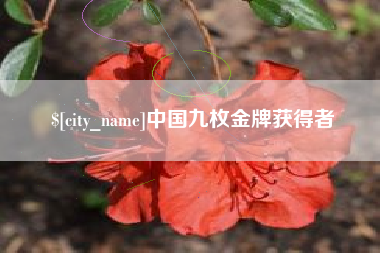 慈溪中国九枚金牌获得者