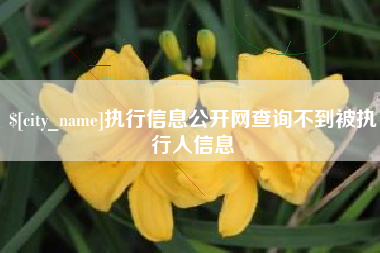 慈溪执行信息公开网查询不到被执行人信息