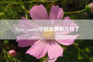 慈溪中国金牌有几枚了