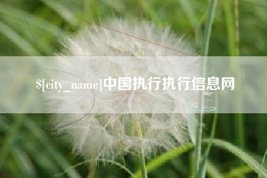 慈溪中国执行执行信息网