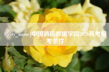 慈溪中国消防救援学院2020高考报考条件