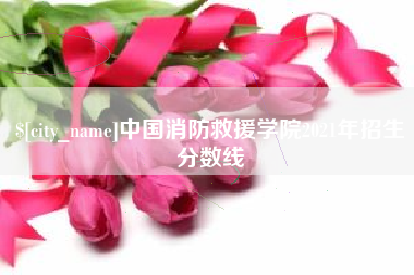 慈溪中国消防救援学院2021年招生分数线