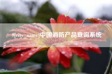 慈溪中国消防产品查询系统