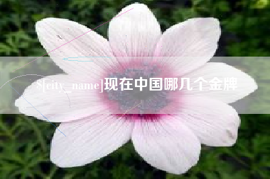 慈溪现在中国哪几个金牌