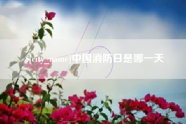 慈溪中国消防日是哪一天