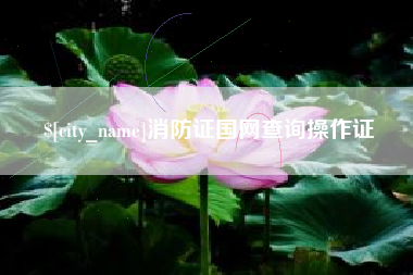 慈溪消防证国网查询操作证