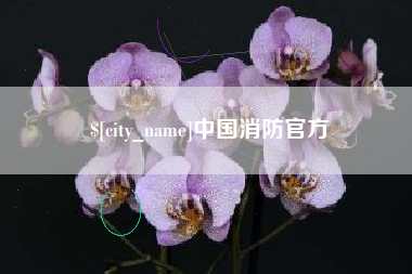 慈溪中国消防官方