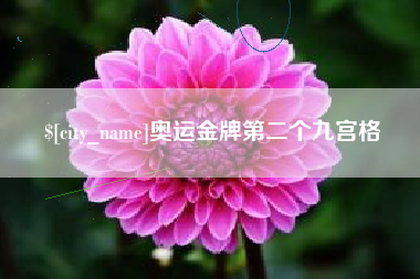 慈溪奥运金牌第二个九宫格
