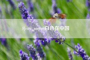 慈溪白色在中国