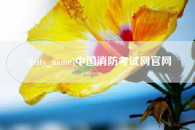 慈溪中国消防考试网官网