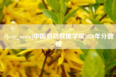 慈溪中国消防救援学院2020年分数线
