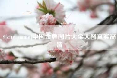 慈溪中国金牌图片大全大图真实高清