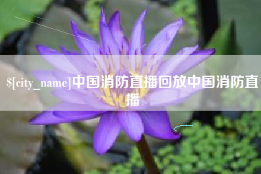 慈溪中国消防直播回放中国消防直播