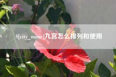 慈溪九宫怎么排列和使用
