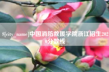 慈溪中国消防救援学院浙江招生2020分数线