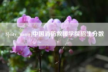 慈溪中国消防救援学院招生分数