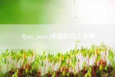 慈溪中国的几个金牌